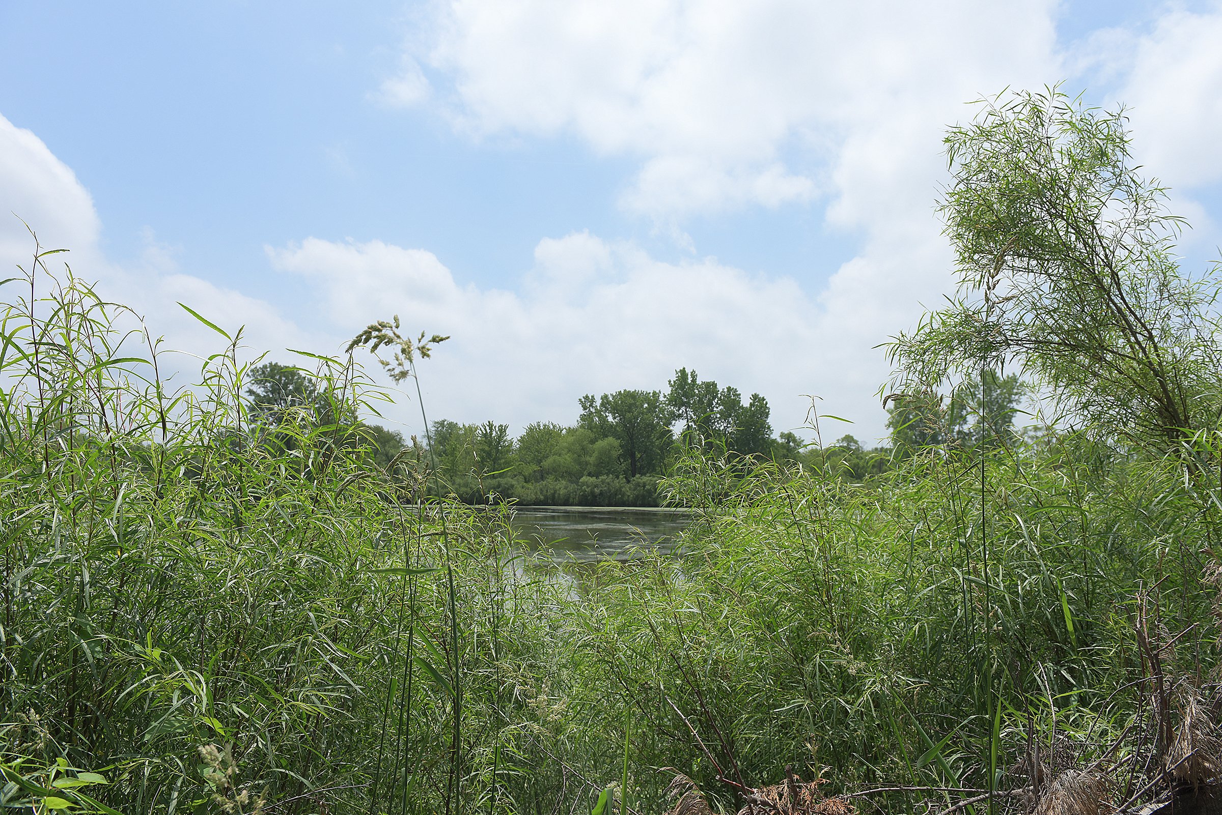 Lake County, Indiana farmland - LAND AUCTION - 147+/- ACRES OFFERED IN 3 TRACTS IN LAKE COUNTY, INDIANA